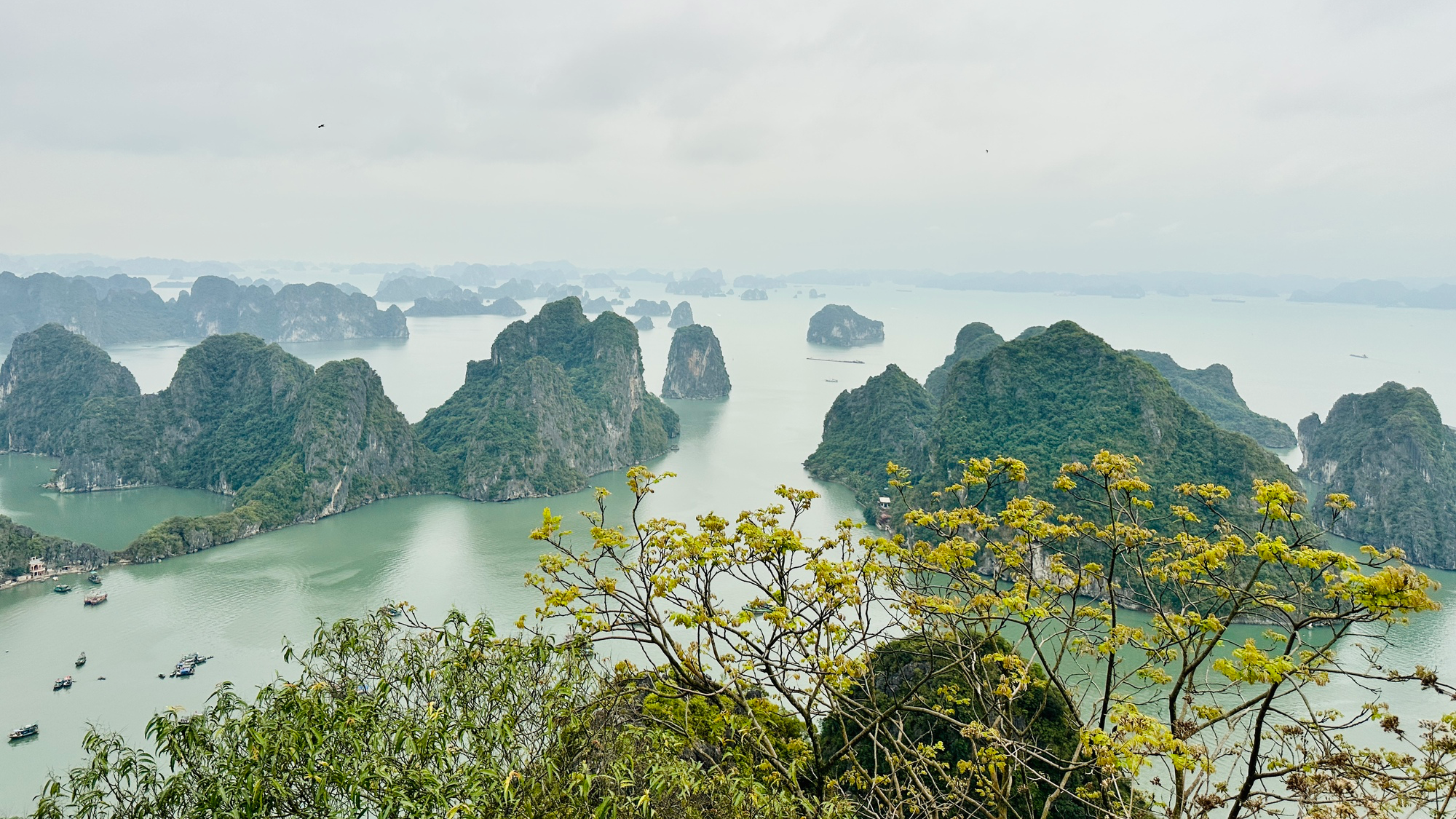 Leo núi Bài Thơ ngắm vịnh Hạ Long độc lạ nhưng nhiều rủi ro - Ảnh 1.