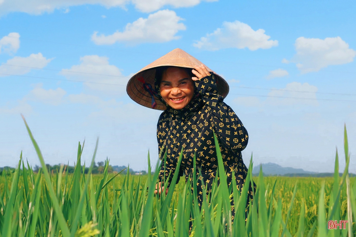 Ngút ngàn những đồng lúa “thẳng cánh cò bay” ở Hà Tĩnh