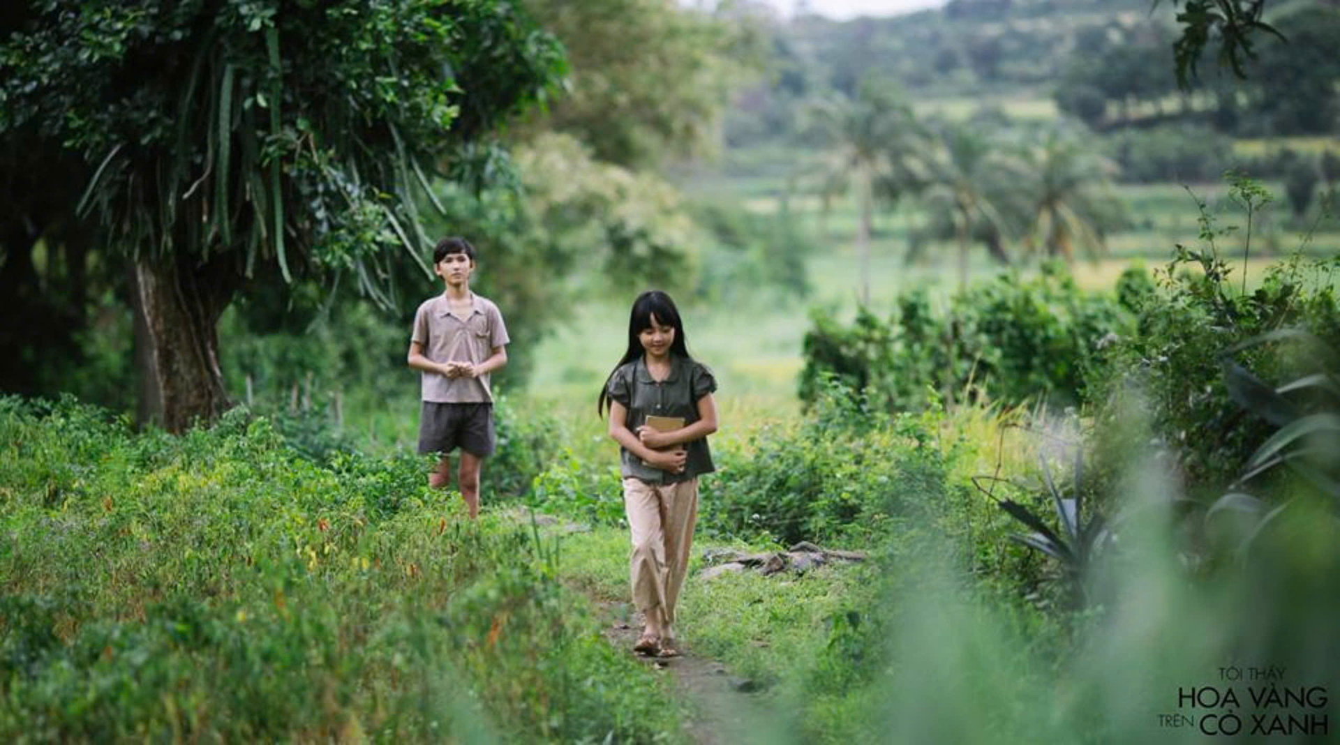 Das Set von „Ich sehe gelbe Blumen auf grünem Gras“ in Phu Yen ansehen, bevor man einen neuen Mantel anzieht – 3