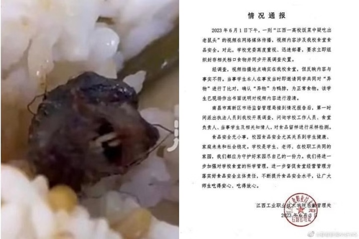 Des rats morts retrouvés dans les repas des élèves à la cantine - 1