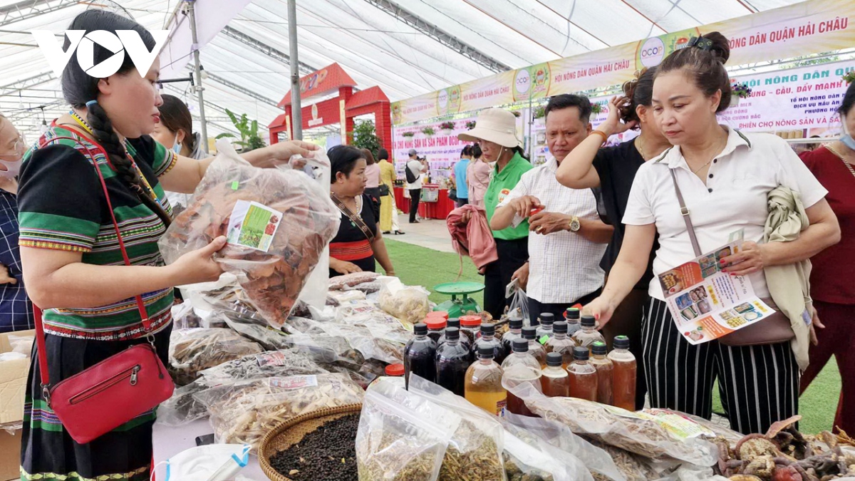 Da nang ket noi cung - cau, day manh san pham ocop hinh anh 2