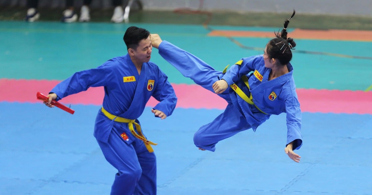 Einzigartige Merkmale des Ho Chi Minh City International Martial Arts Festival 2024