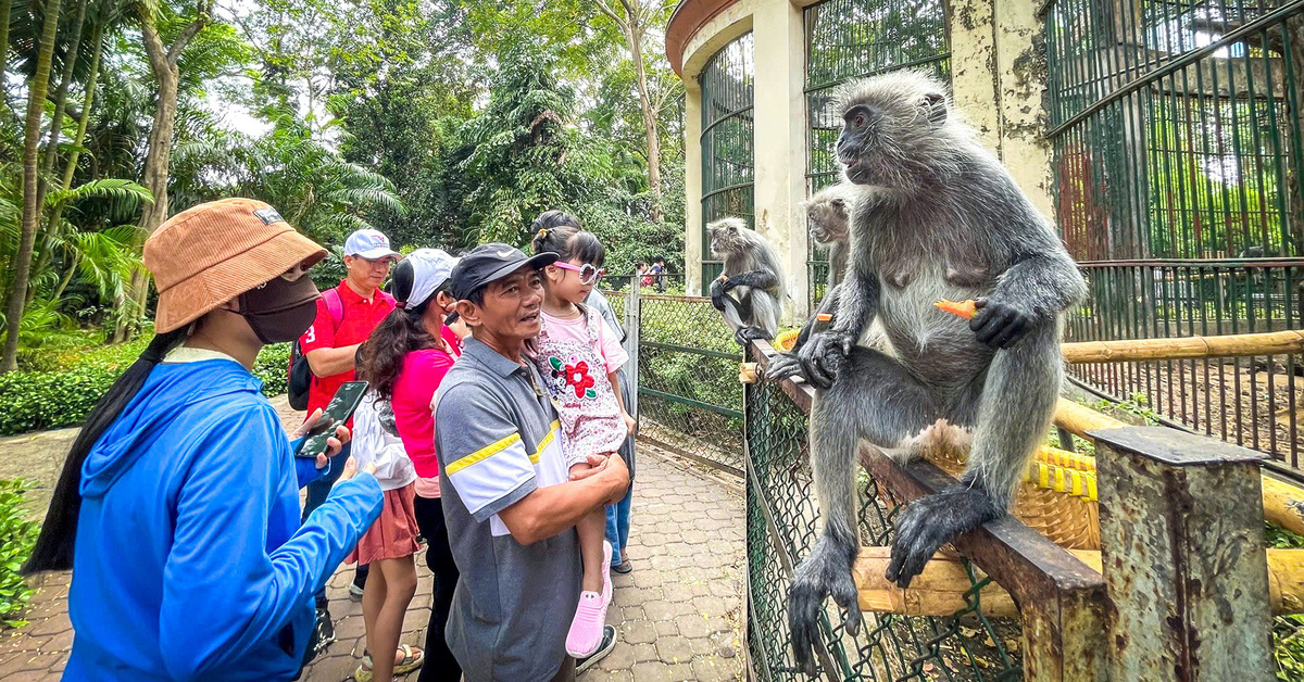 ប្រឈមនឹងហានិភ័យនៃការបញ្ឈប់ប្រតិបត្តិការដោយសារបំណុលជួលដីរាប់រយពាន់លានដុង តើសួនសត្វ Saigon និយាយអ្វីខ្លះ?