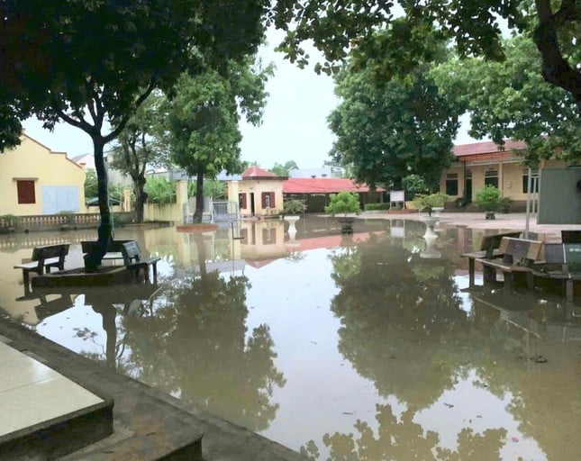 Thanh Hoa erwägt Studiengebührenunterstützung für Studierende in Überschwemmungsgebieten. Foto 1