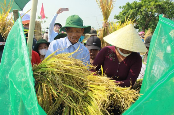 Lễ hội Ngày mùa trên quê hương cố Thủ tướng Phạm Văn Đồng ảnh 8