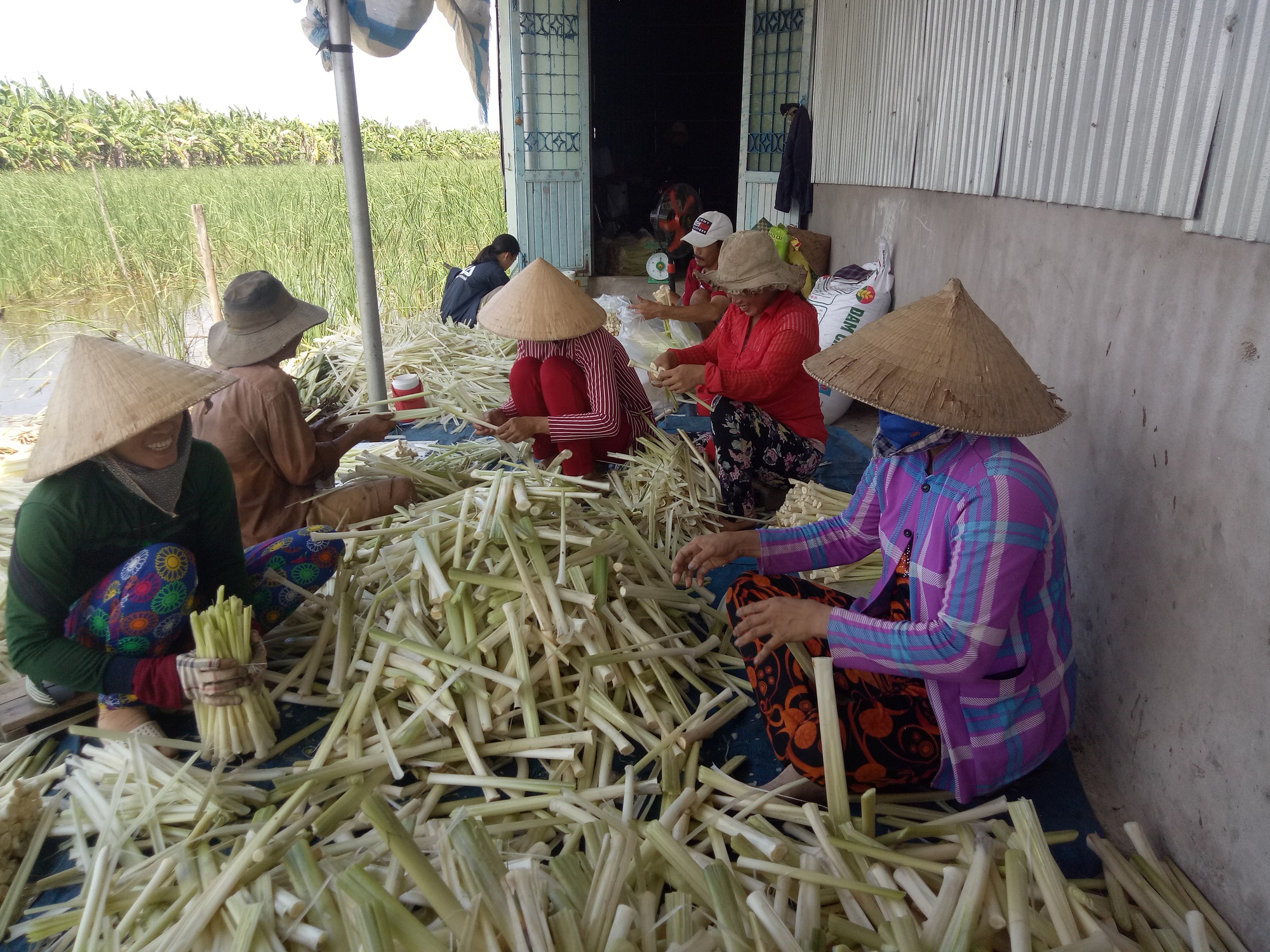 Cà Mau: Rà soát tình hình phụ nữ mất việc trở về địa phương- Ảnh 1.