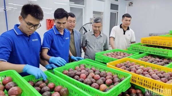 果物と野菜の輸出、70億ドルの目標に非常に近づいている