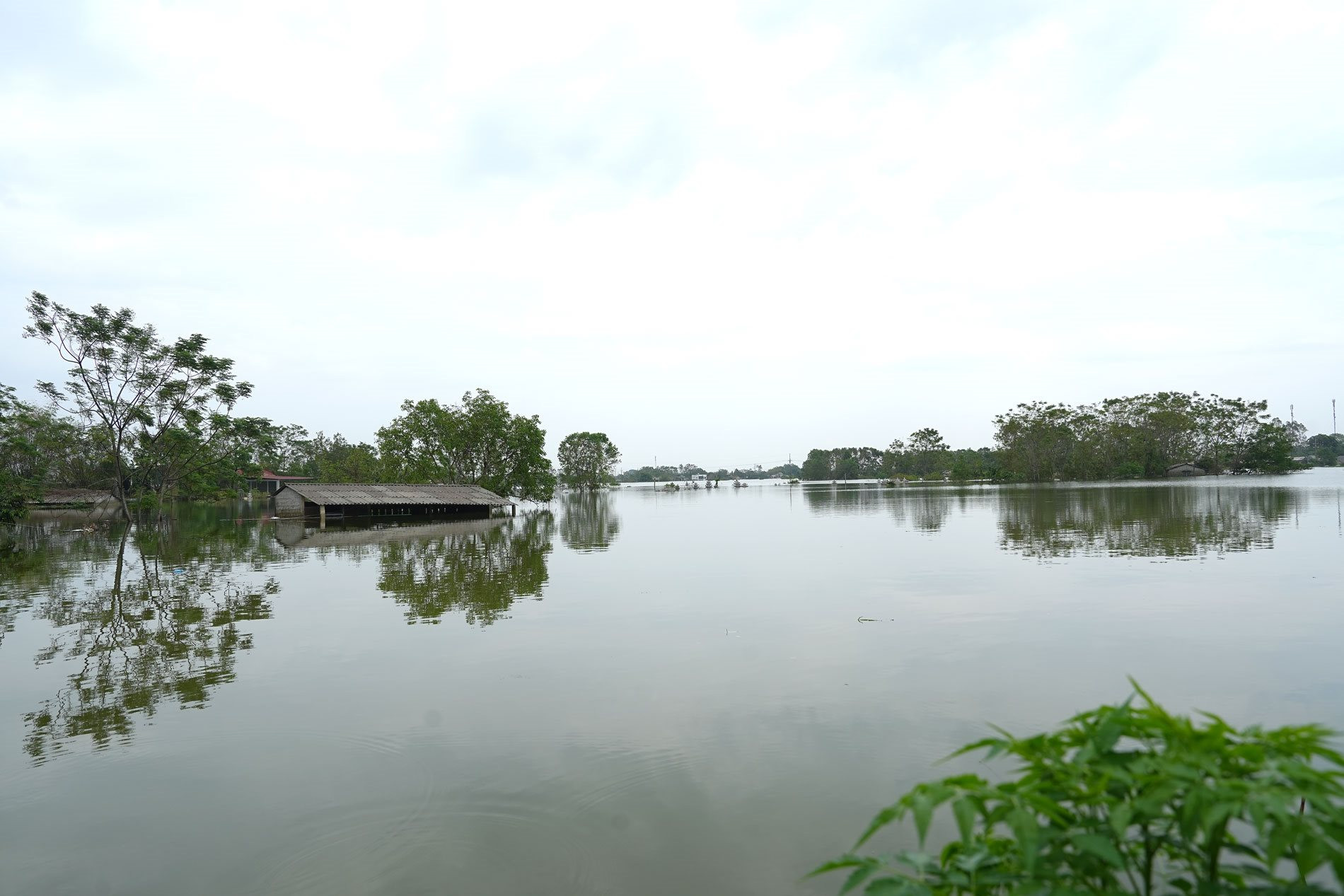 Der-Süd-Hai-Van-versinkt-rückwärts-im-Wasser..jpg