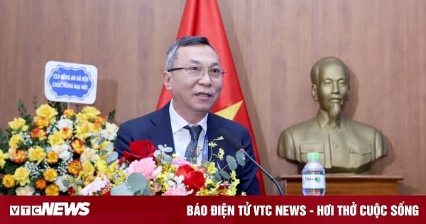 VFF lãi 2,3 tỷ đồng năm 2024