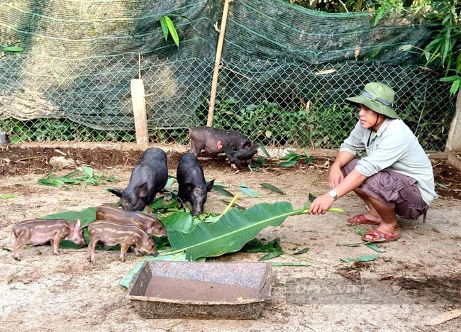 Huyện miền núi Nam Giang đang rút ngắn khoảng cách phát triển với miền xuôi của Quảng Nam- Ảnh 3.