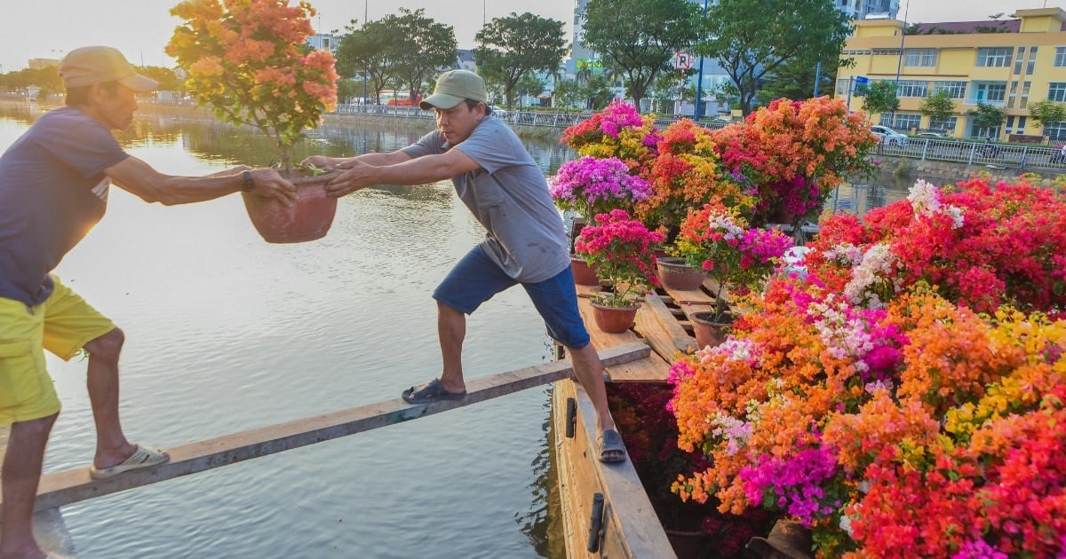 Những chiếc ghe miền Tây "mang Tết" đến TPHCM