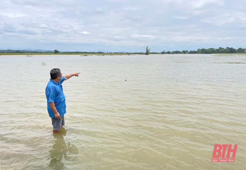 Des dizaines d'hectares de rizières de printemps risquent d'être perdus à cause de profondes inondations