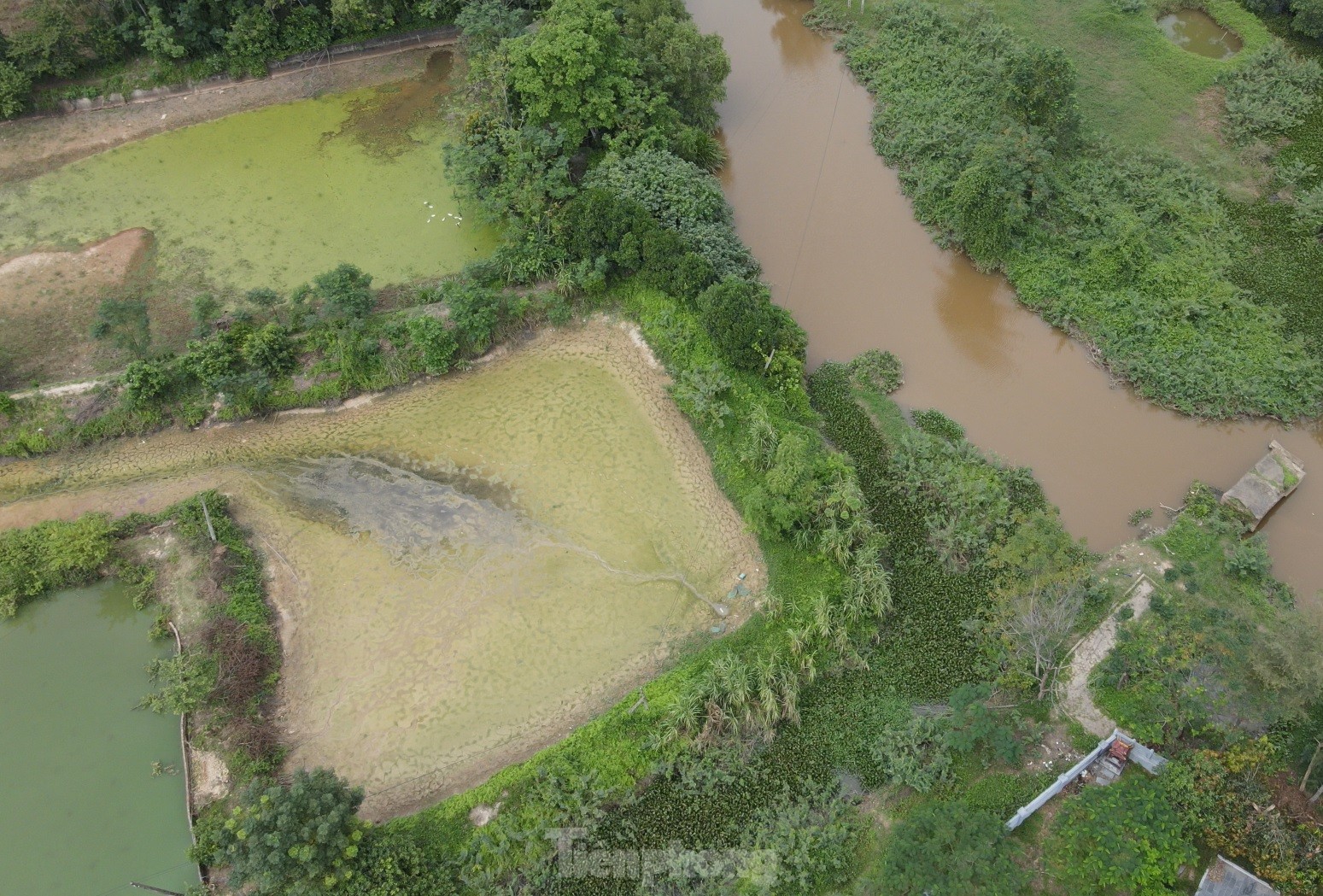 Ha Tinh: Miles de hogares utilizan agua contaminada del río para sus actividades diarias. Foto 10