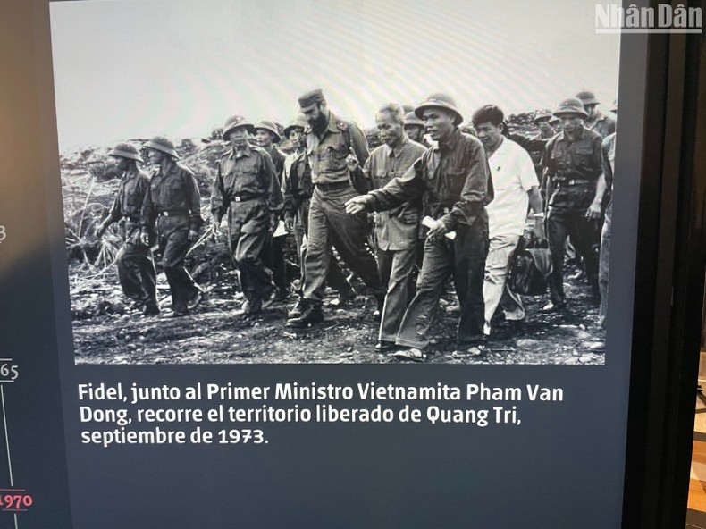ベトナムの偉大な友人、愛すべき最高司令官フィデルへの称賛！写真7