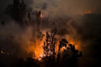 Chile nỗ lực ngăn chặn thảm hoạ cháy rừng
