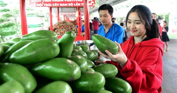 Duftende Blumen und süße Früchte erfüllen das Southern Fruit Festival 2024