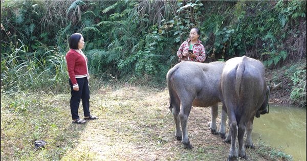 Trang Dinh (Lang Son): Providing suitable livelihoods, helping to sustainably reduce poverty