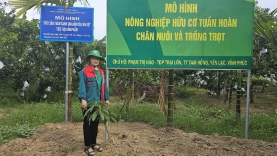 Agricultura orgánica vista desde Vinh Phuc