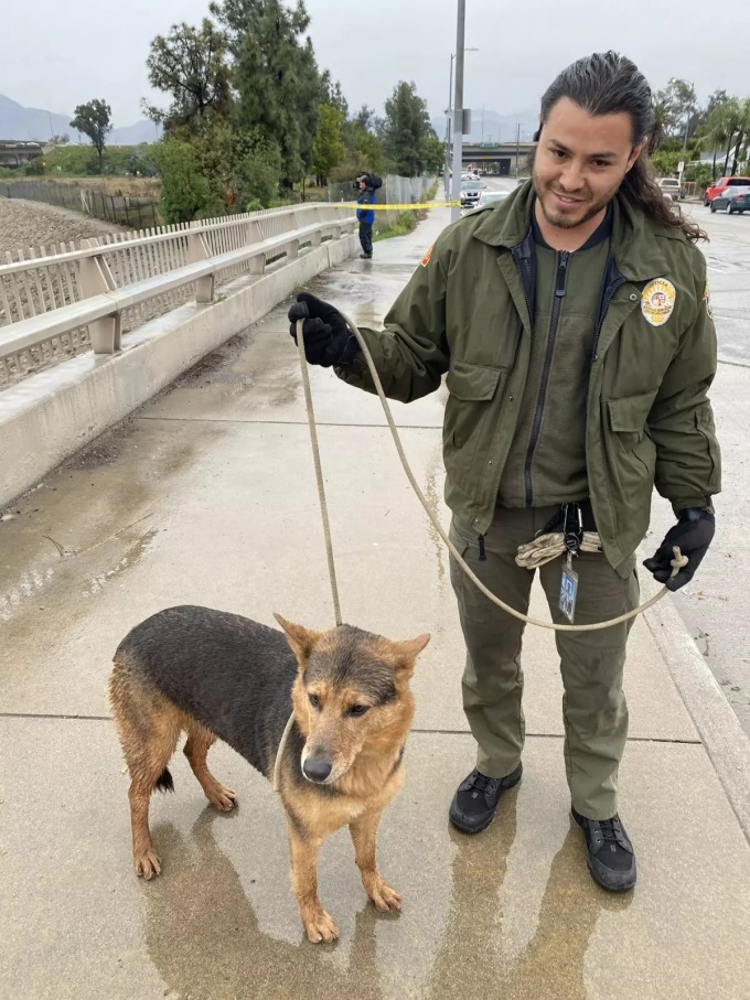 Un perro junto a un oficial de control de animales de Los Ángeles el 5 de enero. Foto: LAFD