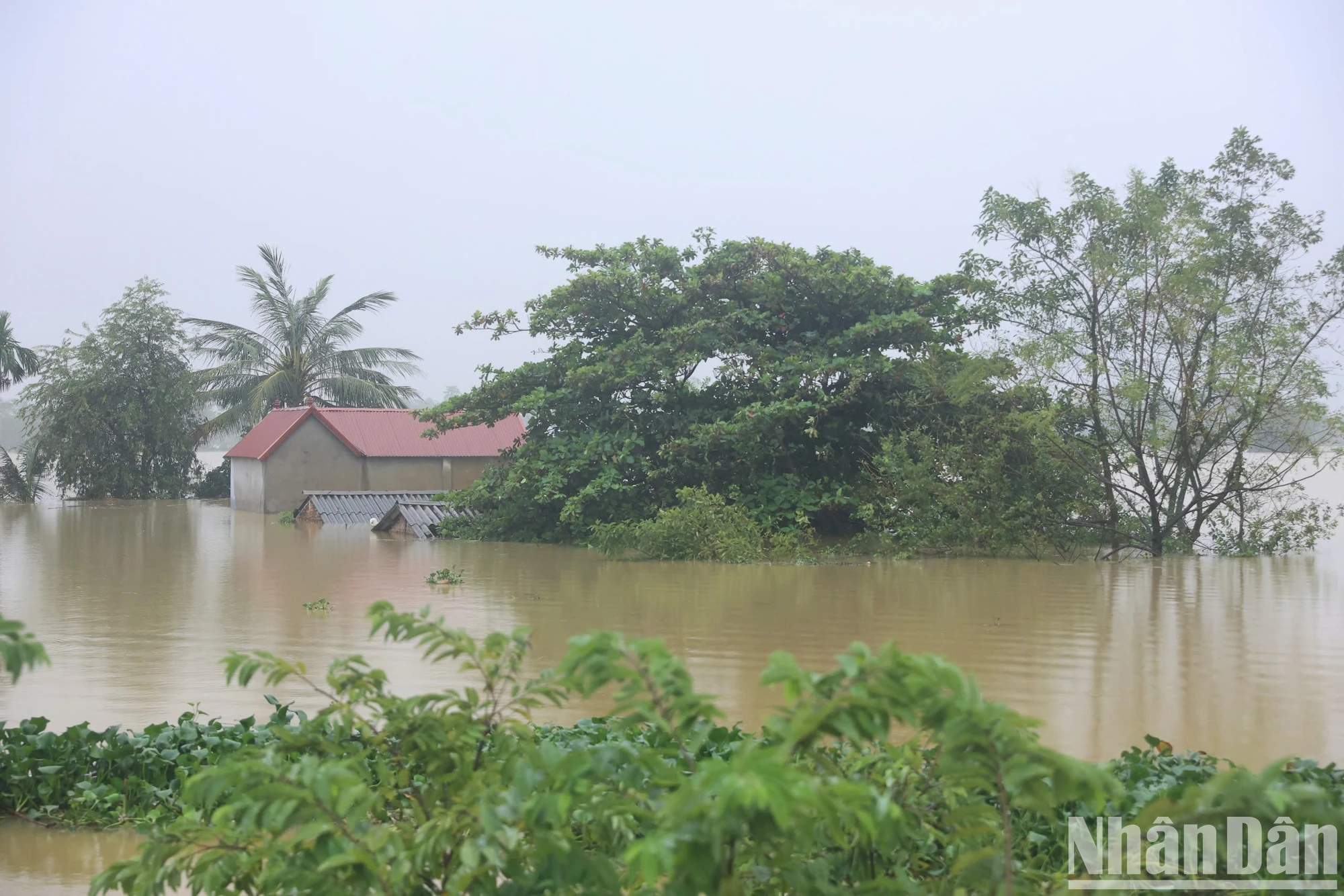 [Foto] Hanoi: El río Bui desborda el dique, muchas comunas en el distrito de Chuong My están inundadas foto 7