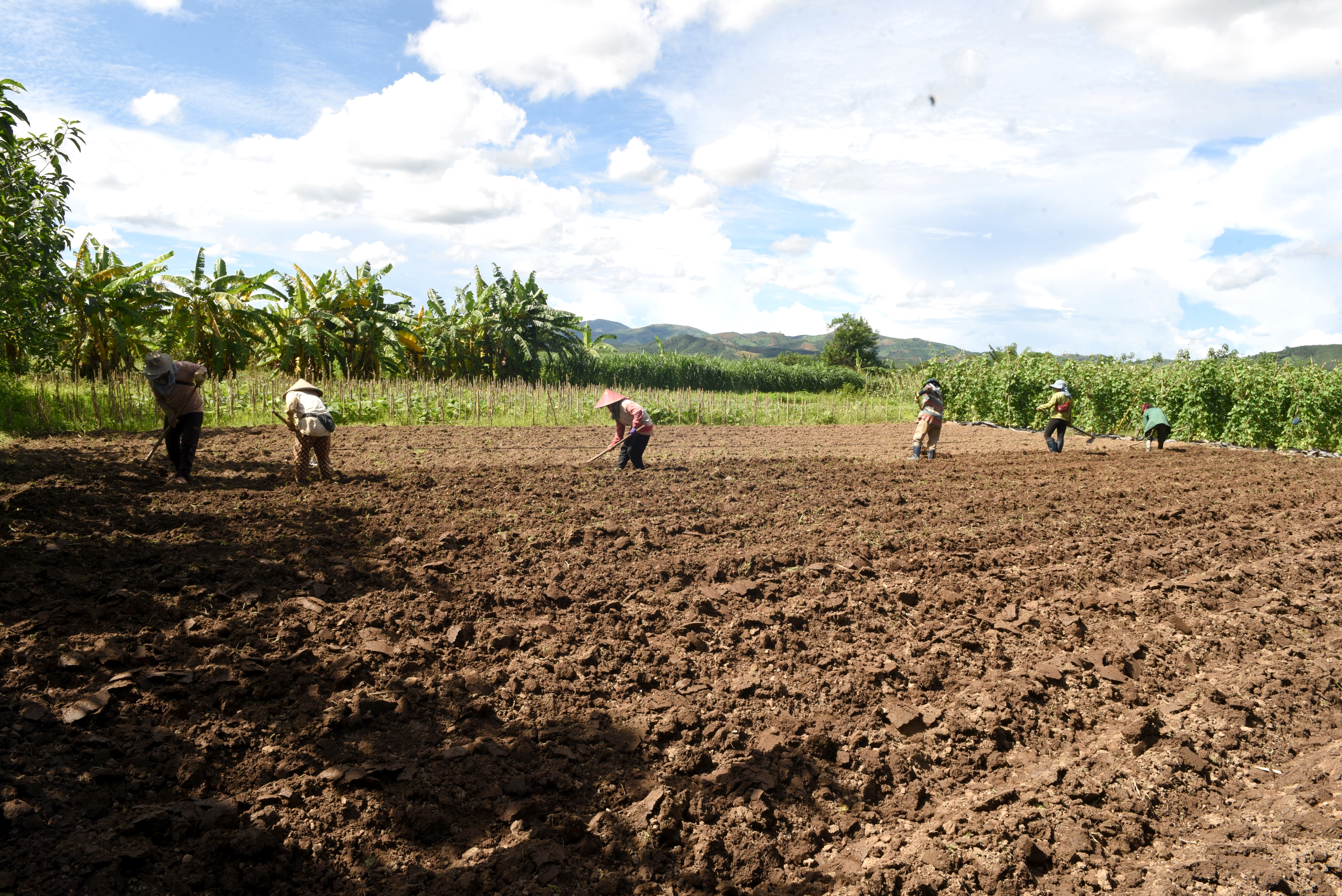 Chị em phụ nữ đang chuẩn bị đất để trồng rau tại trang trại Moutain Farmers