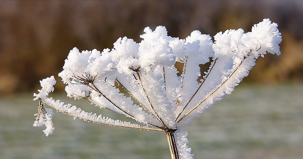 Los fenómenos naturales más importantes que solo puedes ver en invierno