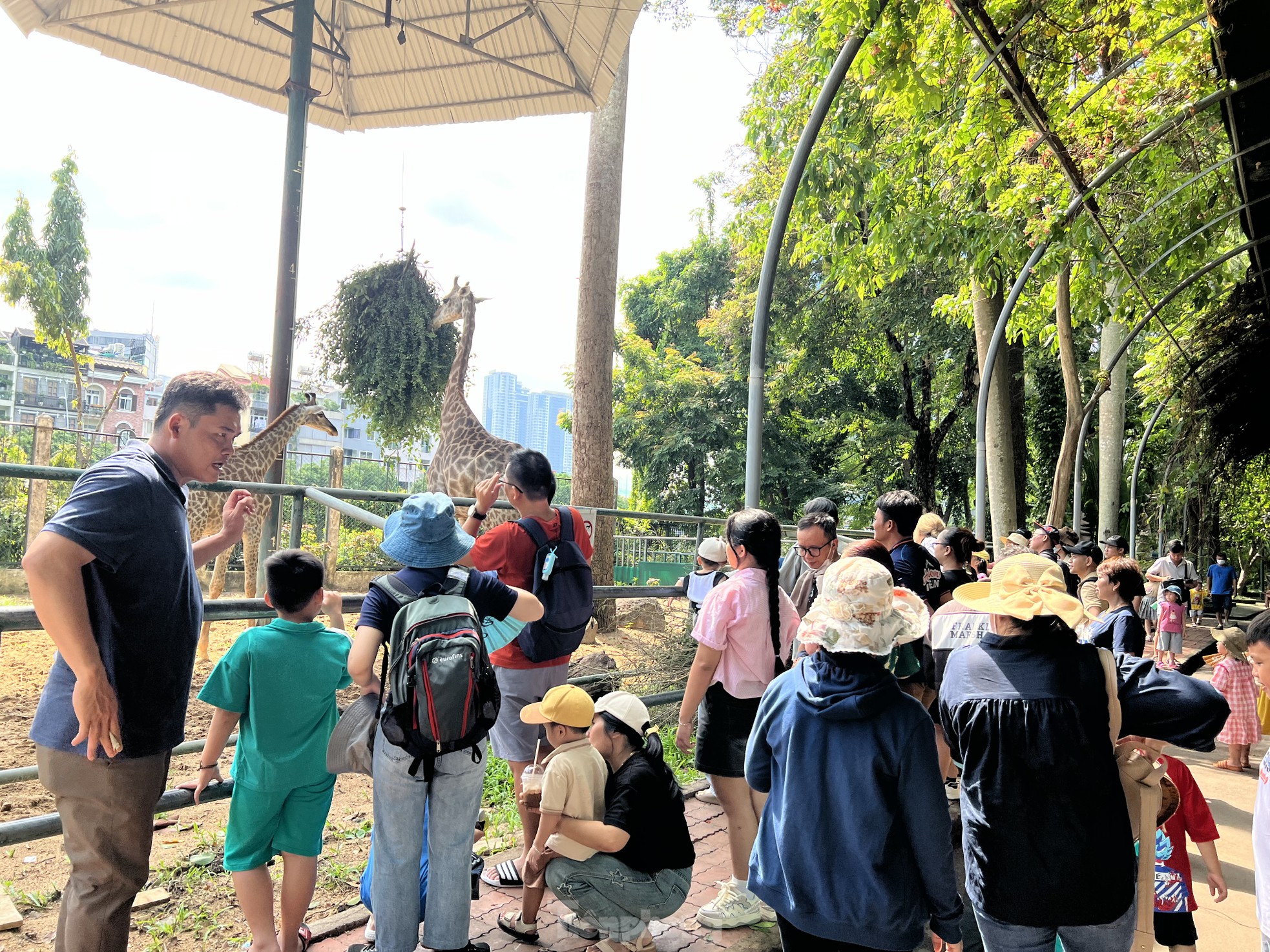 Visiting the Zoo, tourists were surprised to see hippos... brushing their teeth photo 12