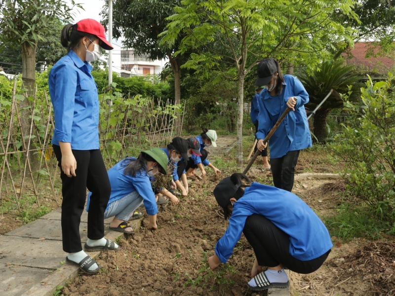 Youth construction labor program joins hands to build a green, clean and beautiful campus.