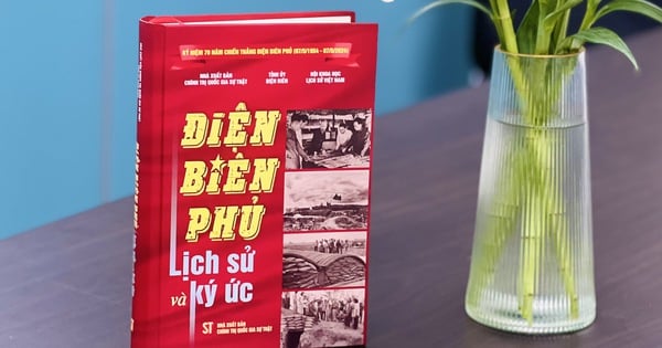 ディエンビエンフー、ベトナムとフランスの将軍が物語を語る