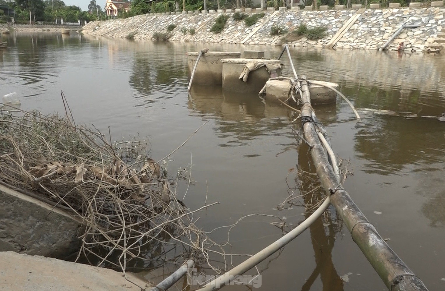 Ha Tinh : Des milliers de ménages utilisent l'eau polluée de la rivière pour leurs activités quotidiennes. Photo 6