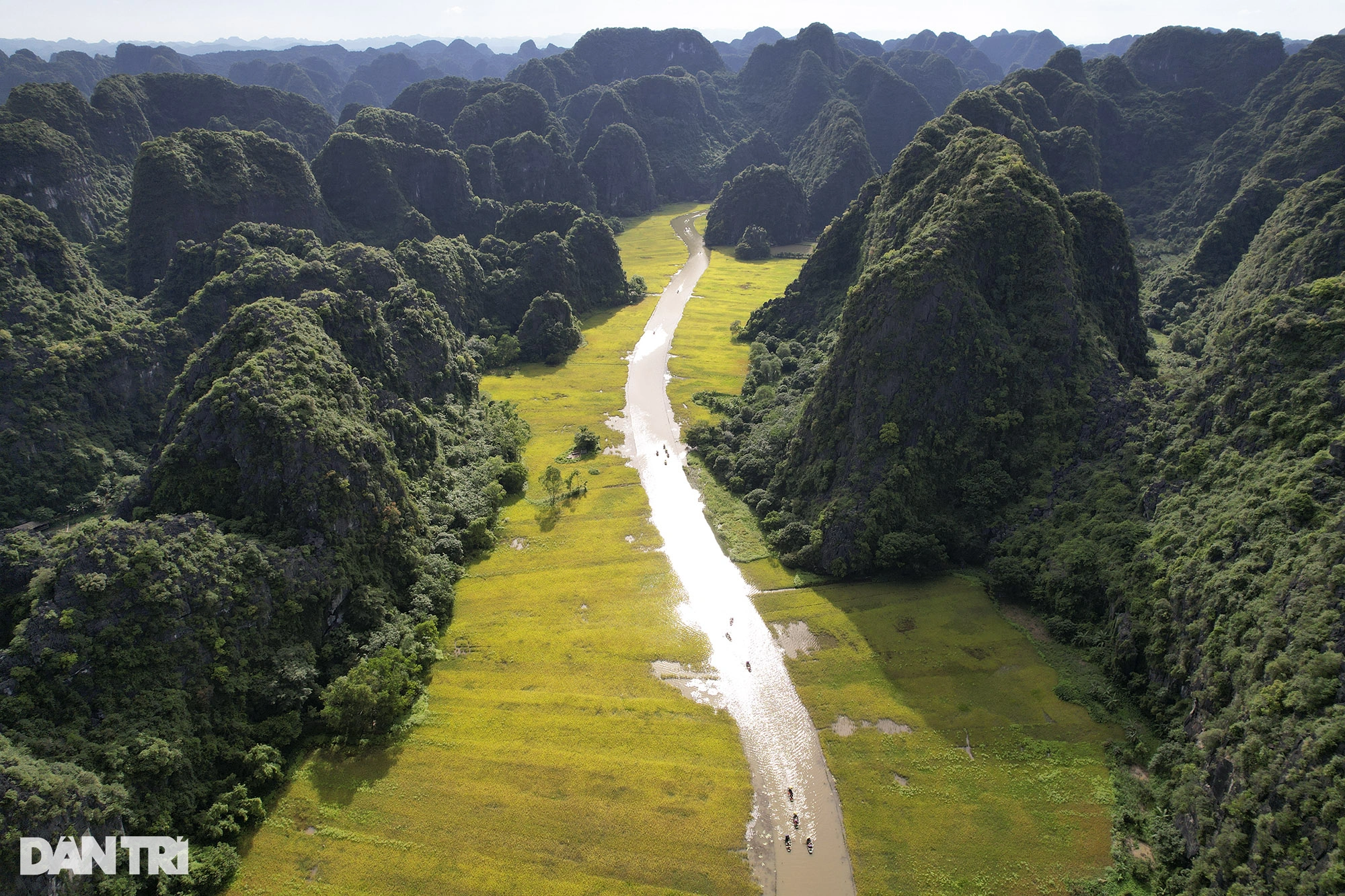 Les rizières dorées de Tam Coc, patrimoine naturel mondial