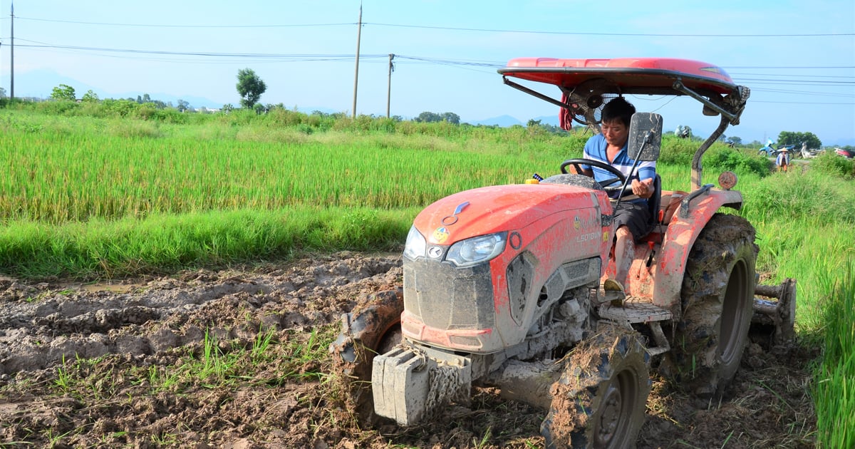 Làm giàu từ dịch vụ cơ giới hóa nông nghiệp