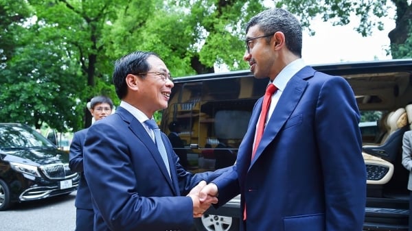 El Ministro de Asuntos Exteriores, Bui Thanh Son, recibió y mantuvo conversaciones con el Ministro de Asuntos Exteriores de los Emiratos Árabes Unidos, el Jeque Abdullah bin Zayed Al Nahyan