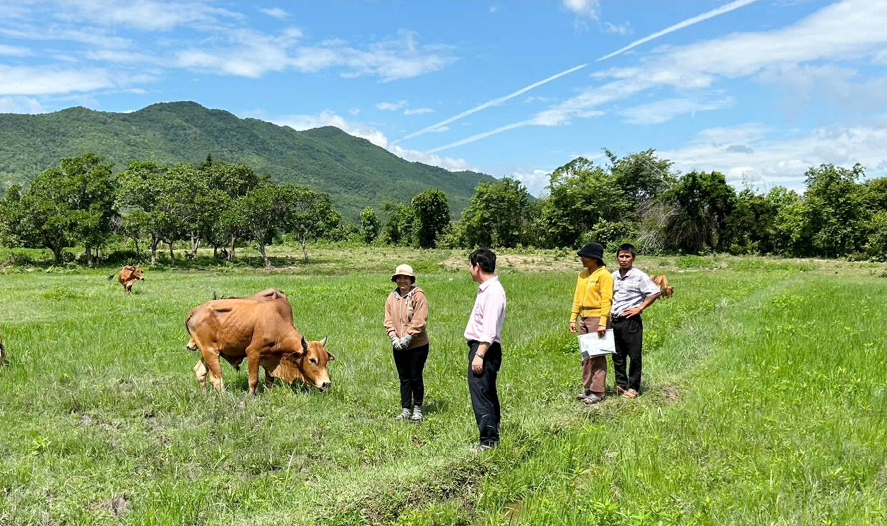 Tín dụng ưu đãi trên miền nắng gió (Bài 3)