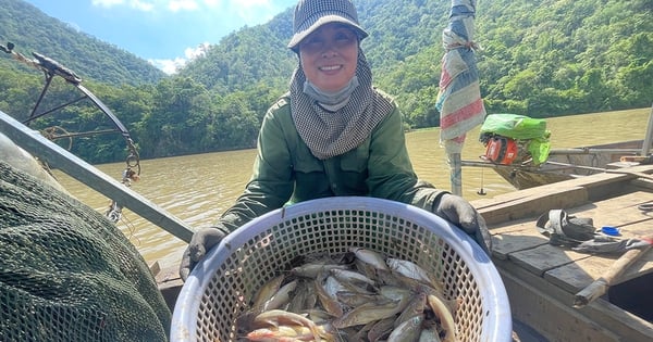 Ein Paar vom Song Ma-Fluss ging zum Angeln in den Gia Lai-Fluss Ba und fing unerwartet viele riesige Grundeln.