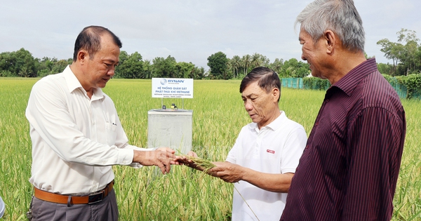 រីករាយពីគម្រោងស្រូវ១លានហិកតា (ភាគ៣)