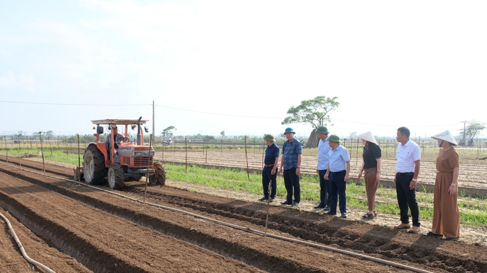 Máy móc được huy động để tập trung làm đất, chuẩn bị vào vụ rau mới.