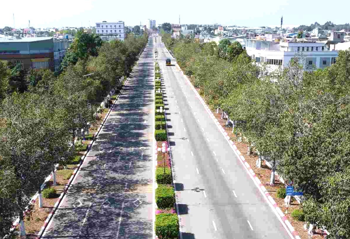 Viewing the newly established city in Binh Duong from above photo 3