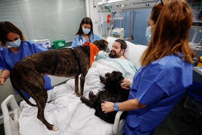 Joel Bueno et les chiens de thérapie dans l'unité de soins intensifs. Photo : Reuters