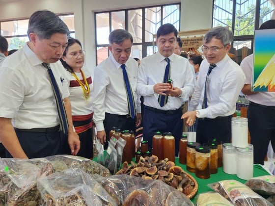 Hàng trăm đặc sản được giới thiệu tại ngày hội quảng bá các sản phẩm miền núi tỉnh Quảng Nam ảnh 7