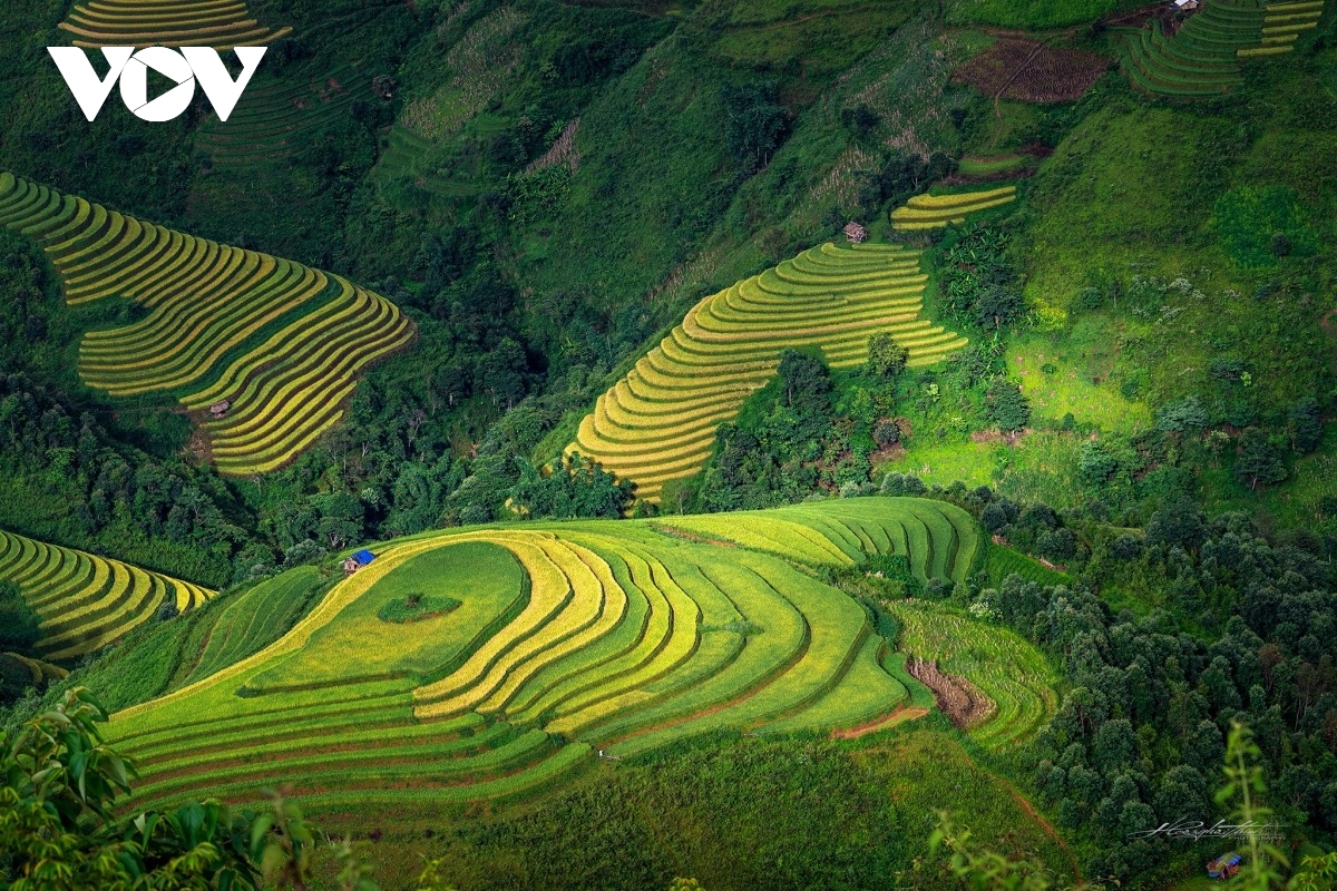 Den mu cang chai trai nghiem bay tren mua vang dip le 2 9 hinh anh 2