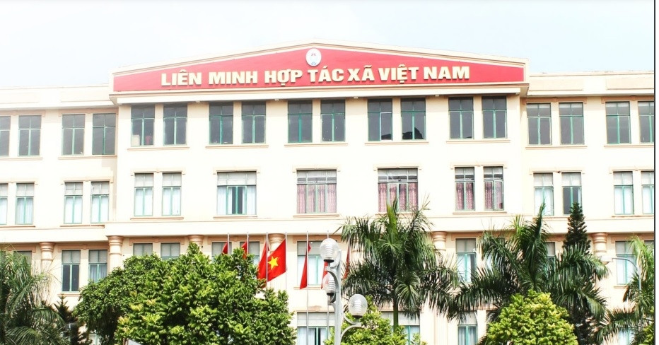 Đề nghị Ban Bí thư xem xét kỷ luật Đảng đoàn Liên minh Hợp tác xã Việt Nam