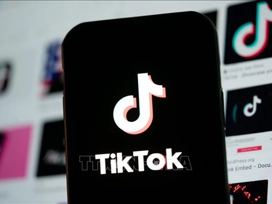 ByteDance và TikTok yêu cầu Tòa phúc thẩm Mỹ hoãn thi hành lệnh cấm