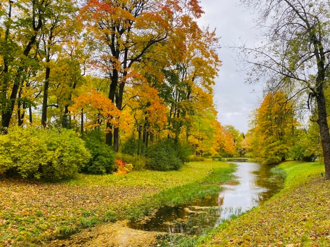 サンクトペテルブルクの秋10月中旬のサンクトペテルブルク（ロシア）。写真：ハ・グエン