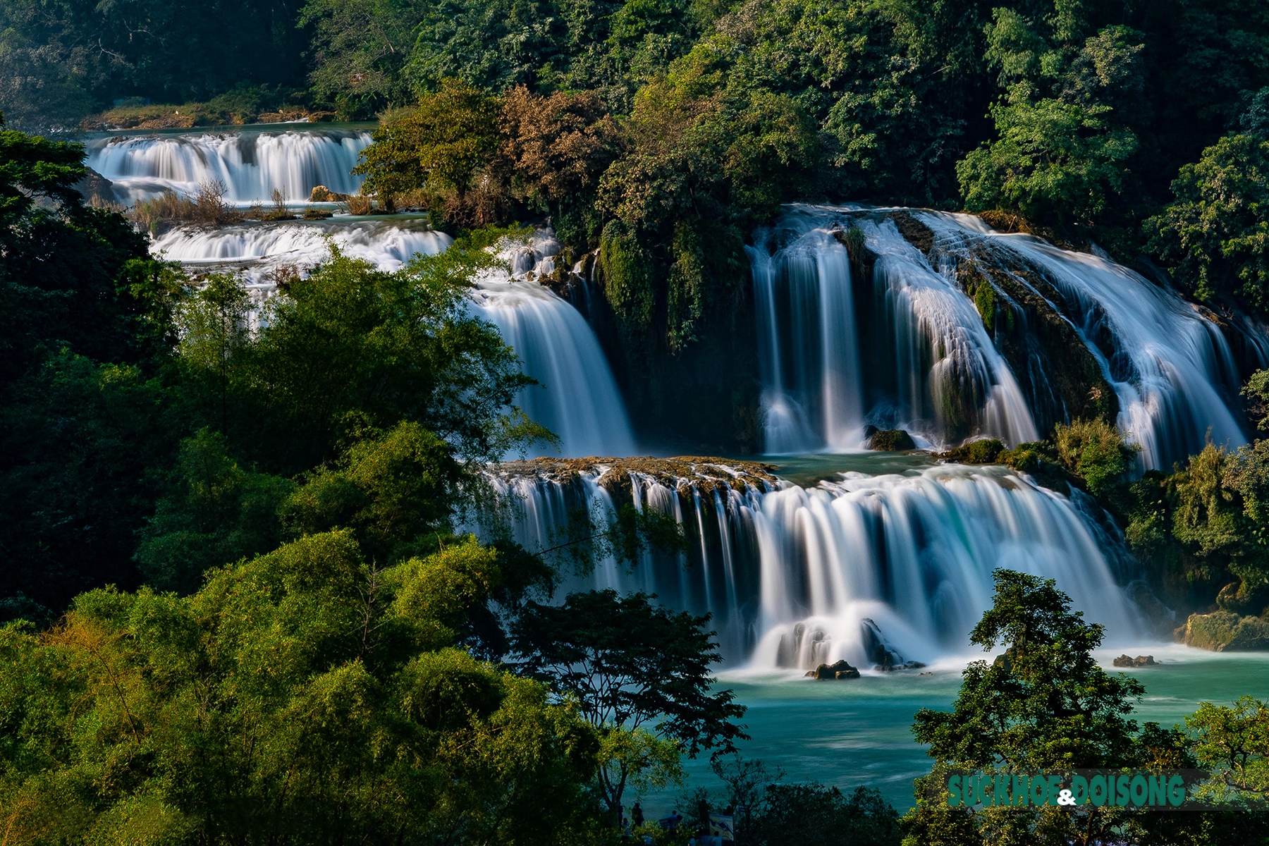 Profitez de tout le paysage de Cao Bang lors d'un voyage printanier au début de l'année