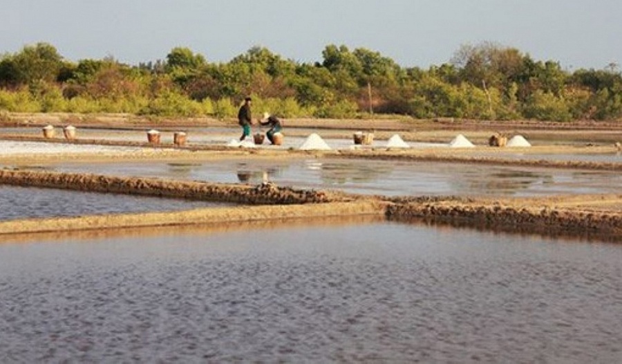 TP. Hồ Chí Minh bàn giải pháp phát triển du lịch nông nghiệp