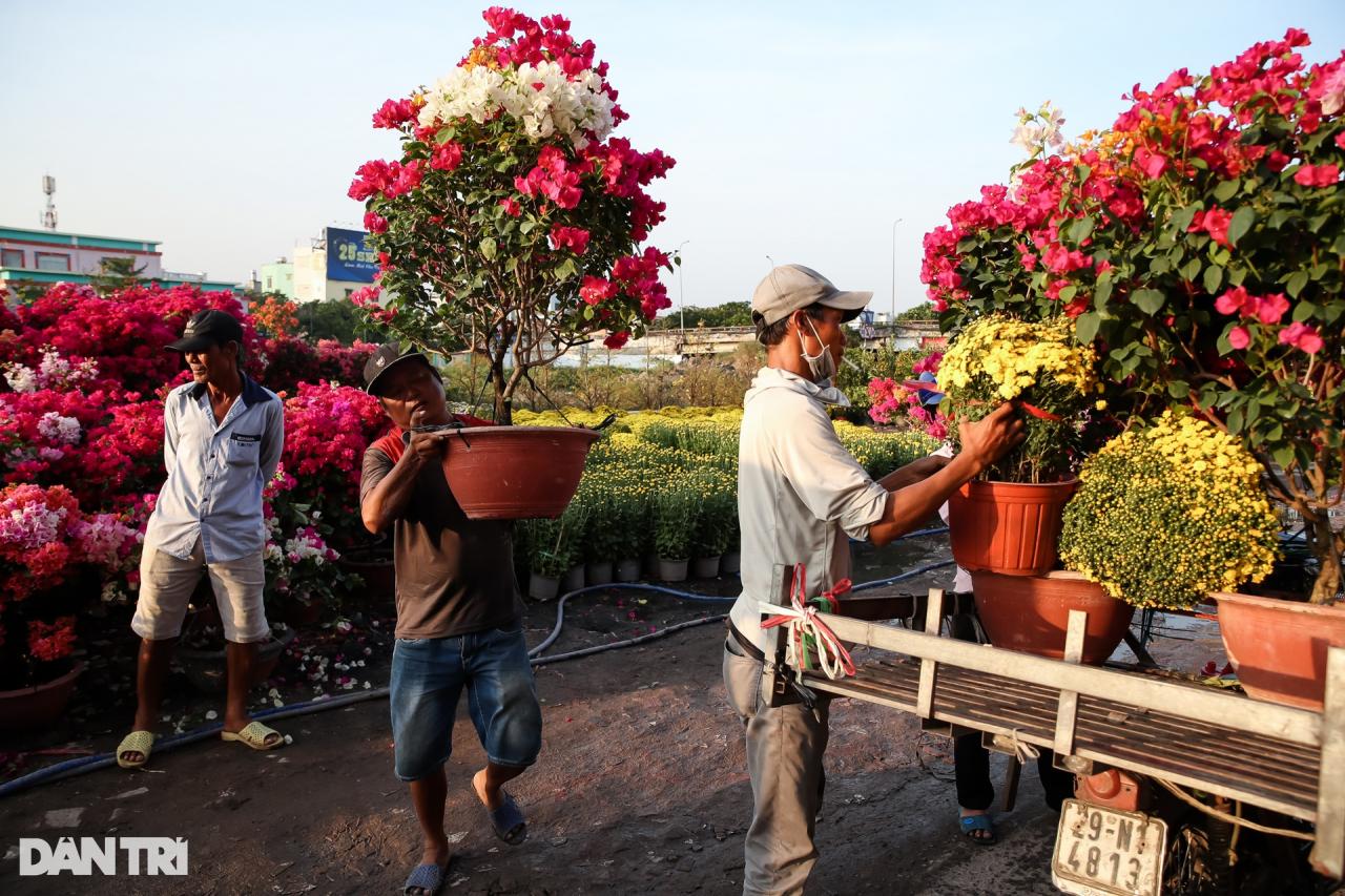 Con đường dọc kênh Tham Lương rực rỡ dịp Tết Nguyên đán - 10