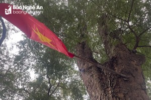Alte Spuren im jungen Stadtgebiet von Thai Hoa
