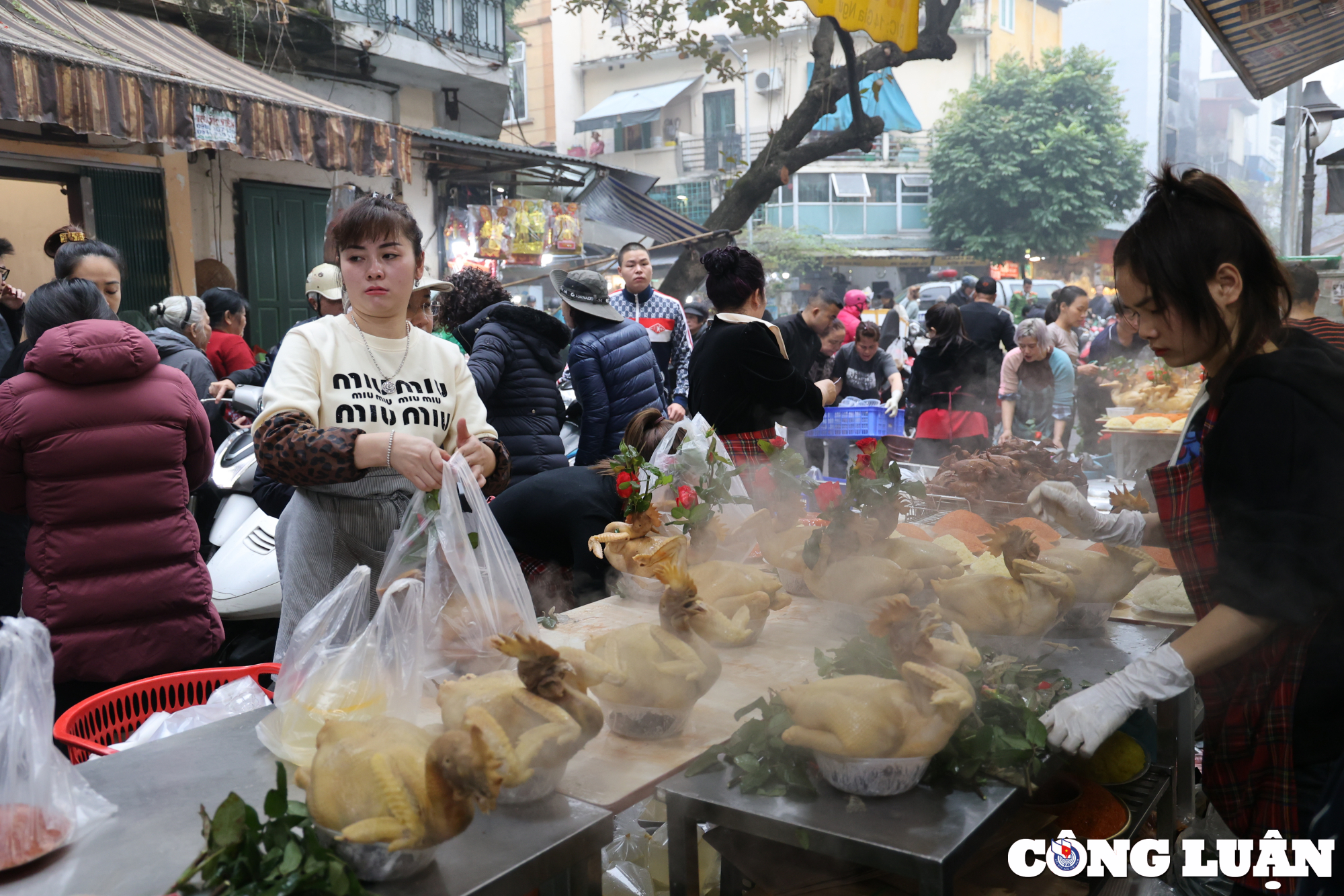 ga ngam hoa hong hut khach tai cho nha giau ha noi hinh 1