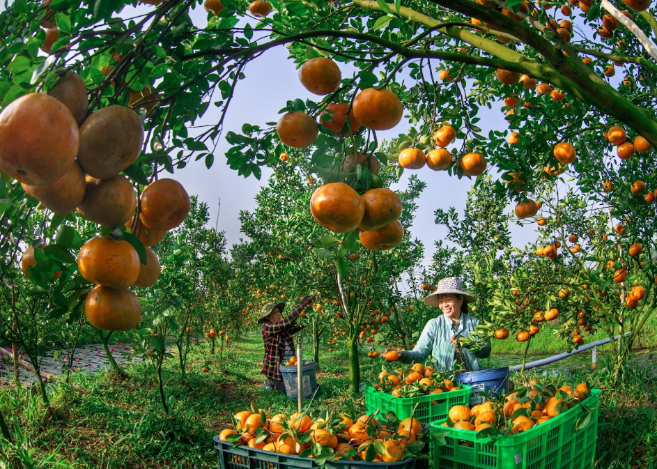 Happy Vietnam 2023: Lan tỏa niềm hạnh phúc từ Việt Nam ra thế giới